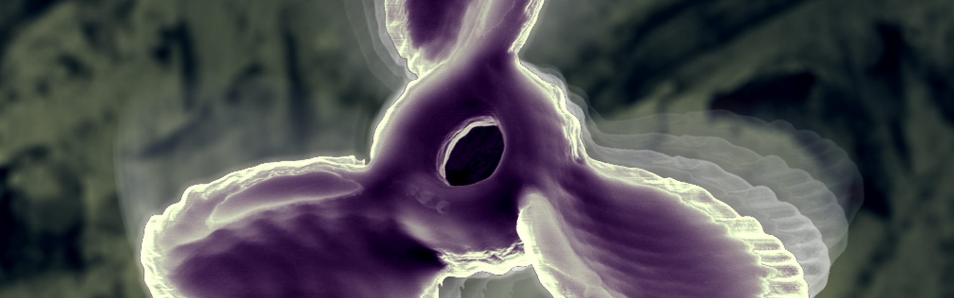 A SEM image depicting a 3-D printed self-propelled micropropeller. These micropropellers are 7 µm from tip-to-tip and swim auton