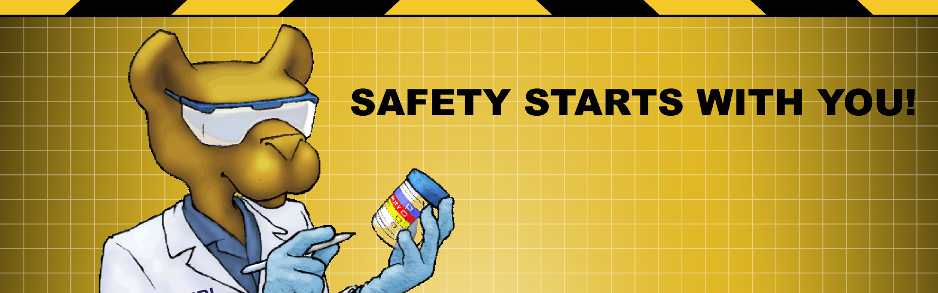 Safety starts with you