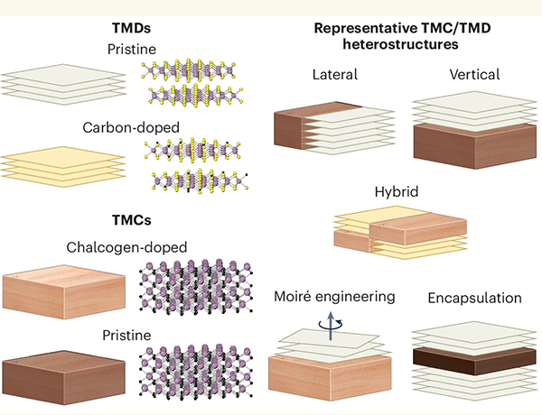 non-layered TMCs as wood blocks