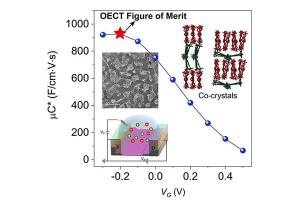 Modified soft material promises better bioelectronics